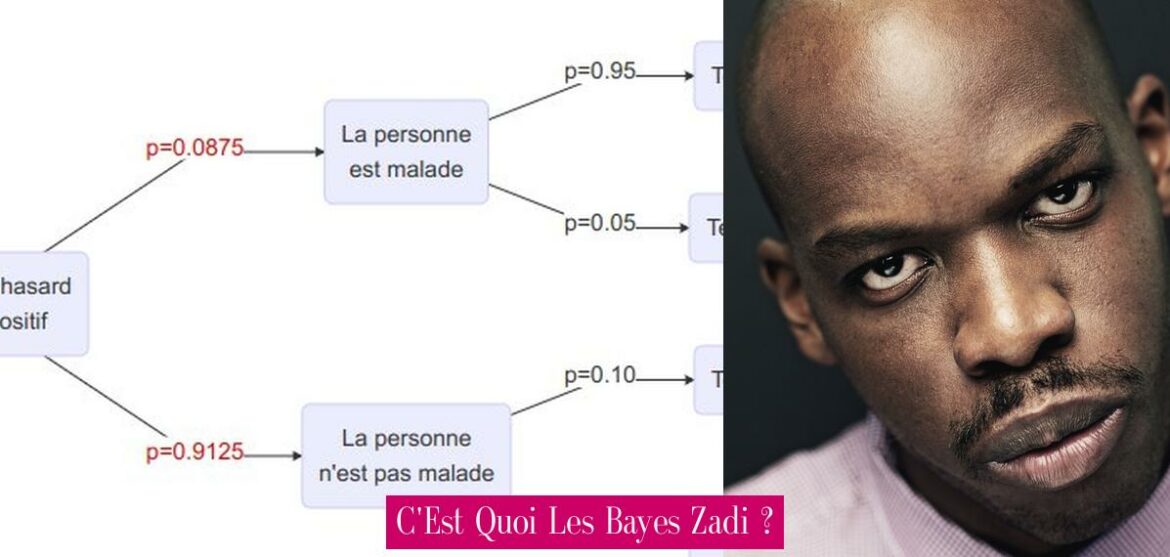 c-est-quoi-les-bayes-zadi