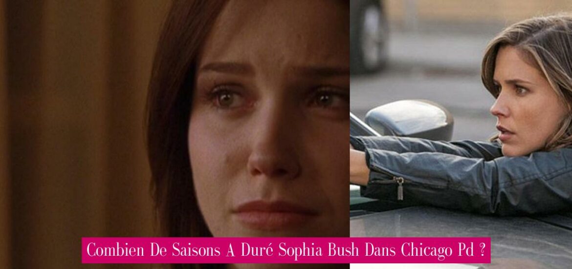 combien-de-saisons-a-dure-sophia-bush-dans-chicago-pd