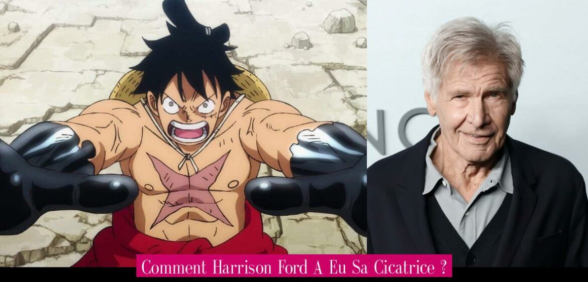 comment-harrison-ford-a-eu-sa-cicatrice