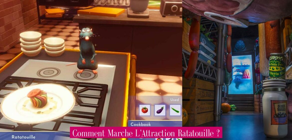 comment-marche-l-attraction-ratatouille