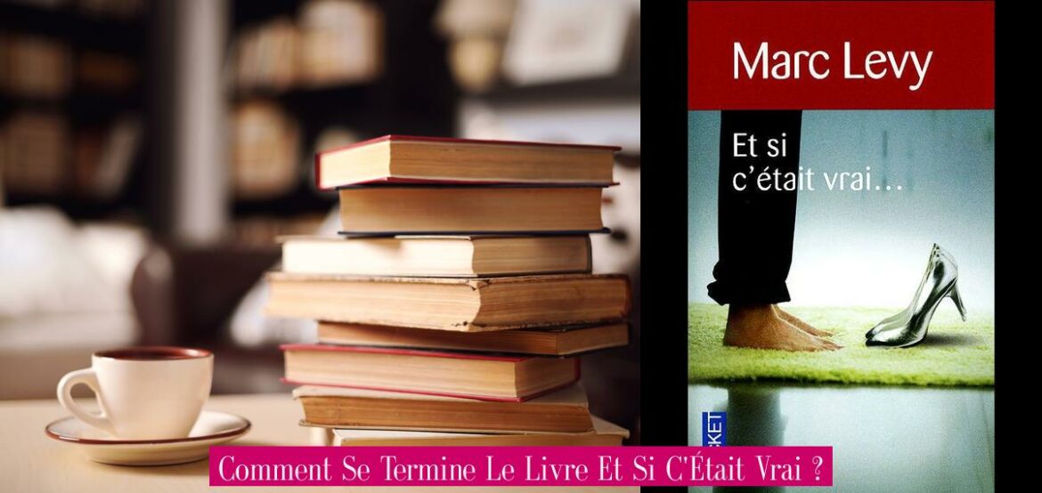 comment-se-termine-le-livre-et-si-c-etait-vrai