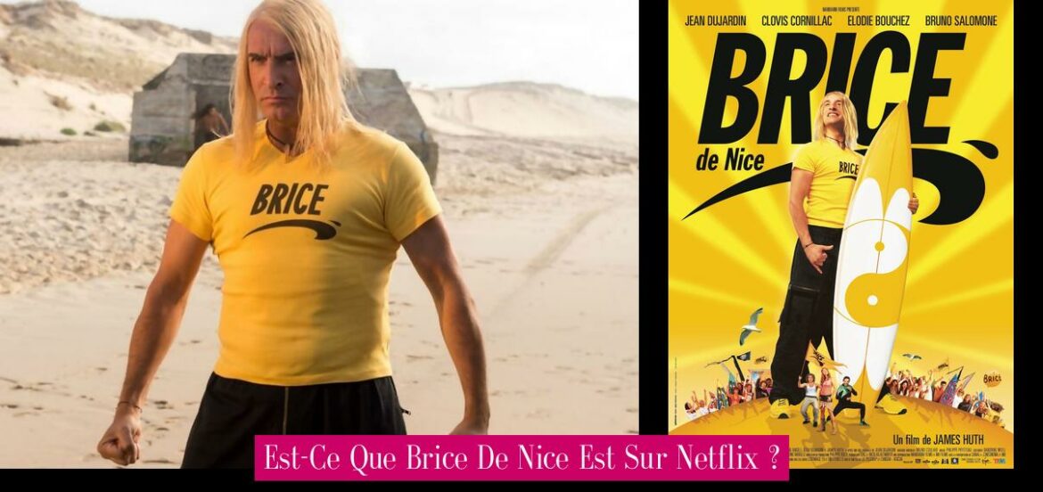 est-ce-que-brice-de-nice-est-sur-netflix