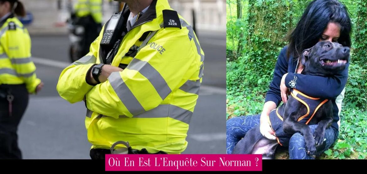 ou-en-est-l-enquete-sur-norman