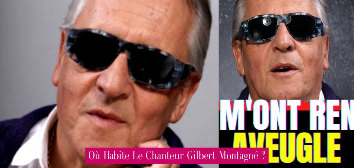 ou-habite-le-chanteur-gilbert-montagne