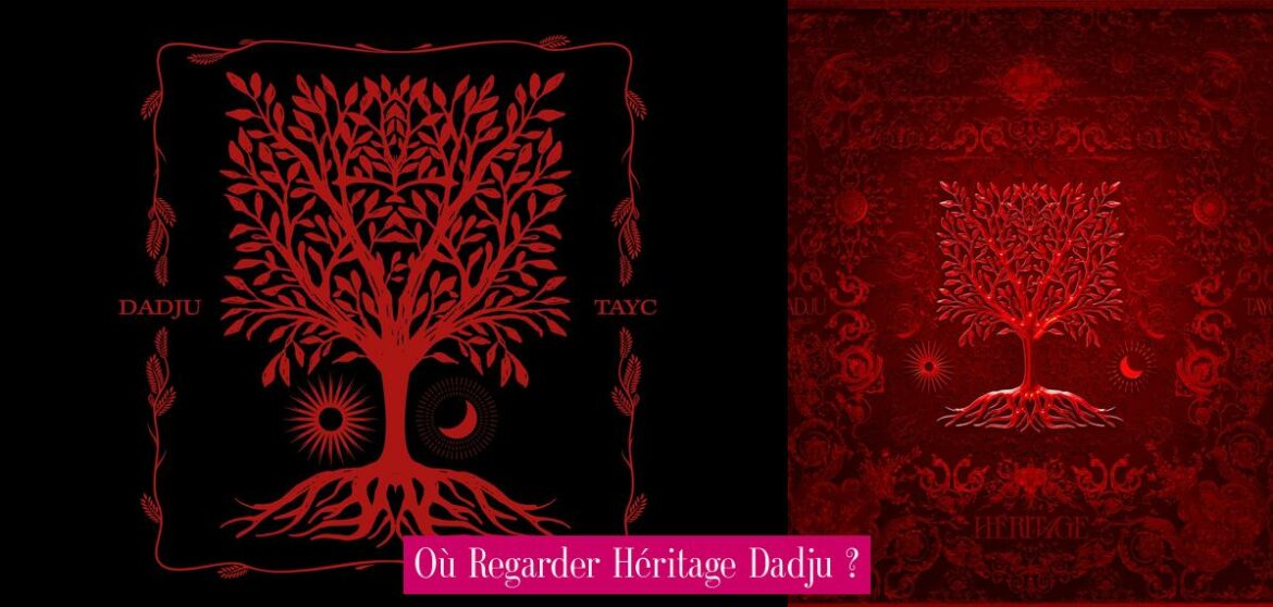 ou-regarder-heritage-dadju