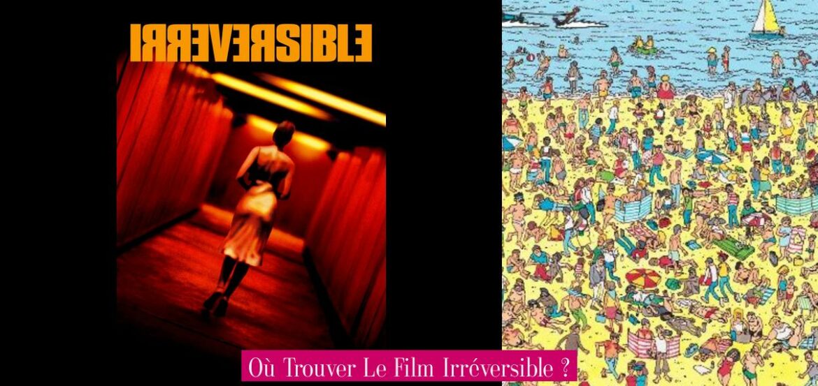ou-trouver-le-film-irreversible