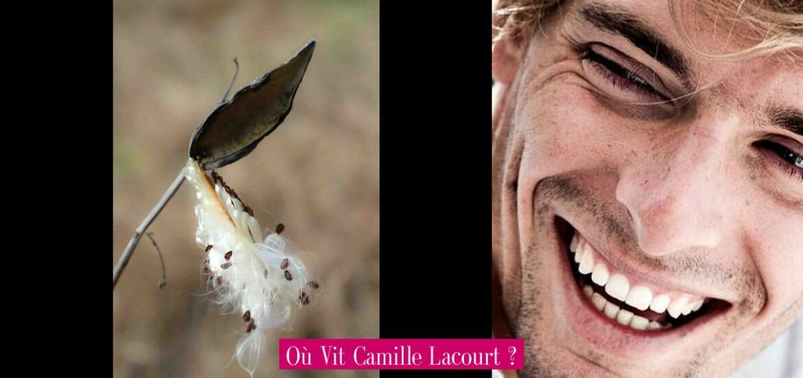 ou-vit-camille-lacourt