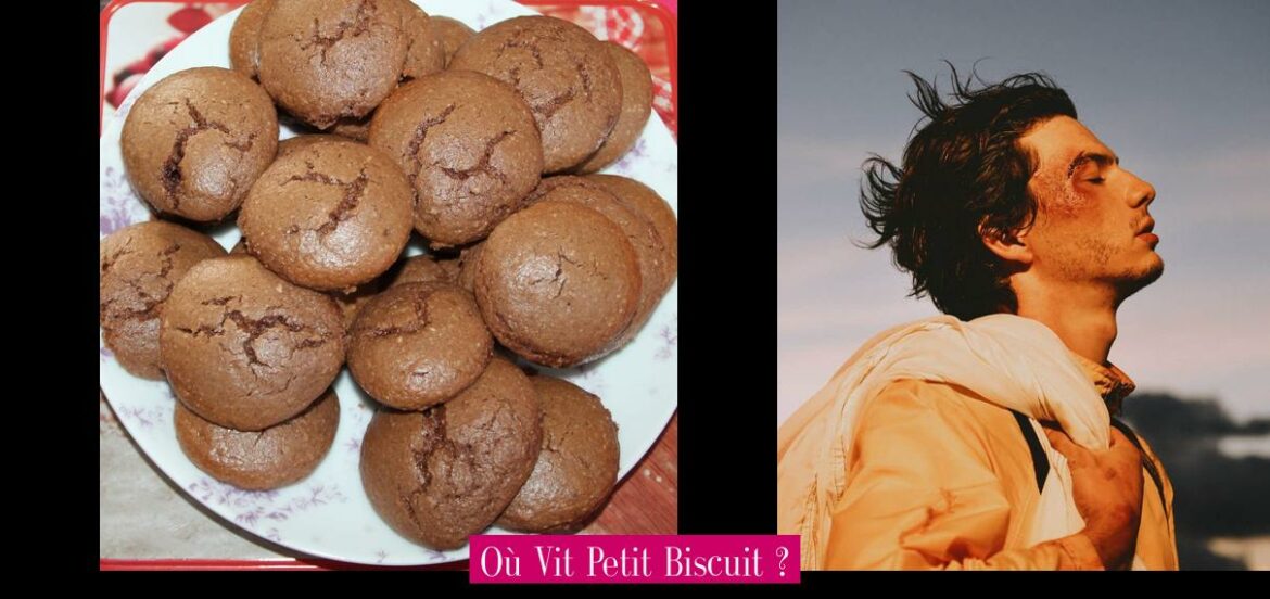 ou-vit-petit-biscuit