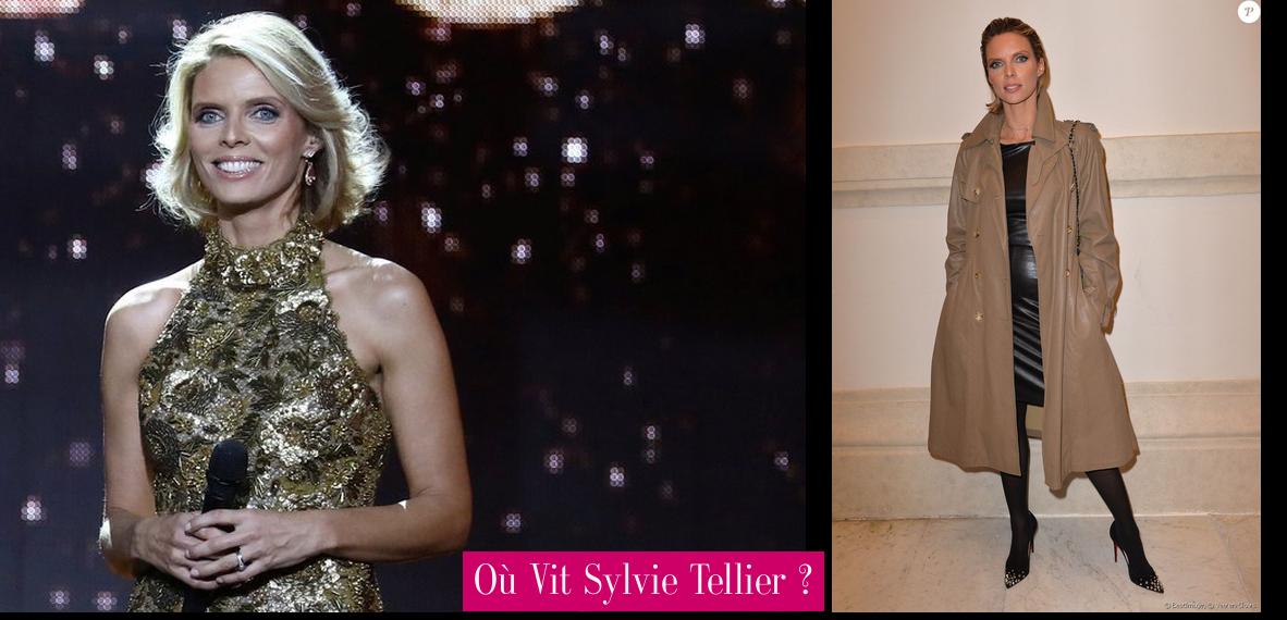 Sylvie Tellier : Son évolution En Images - Femme Actuelle