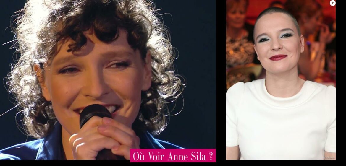 ou-voir-anne-sila