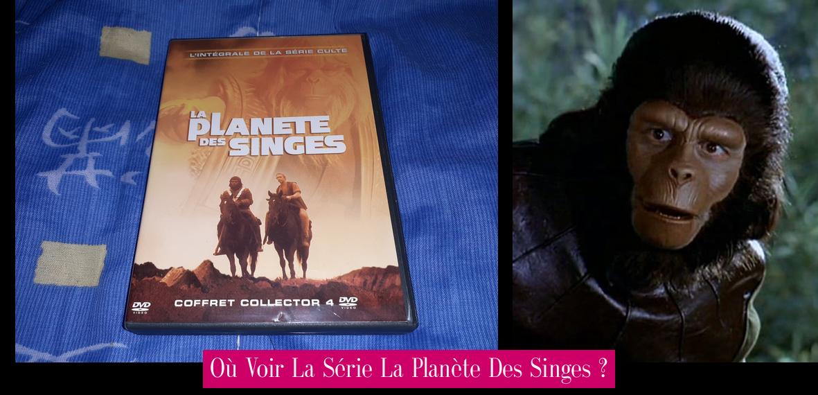Où Voir La Série La Planète Des Singes ? - Revue Stars — Nouvelles