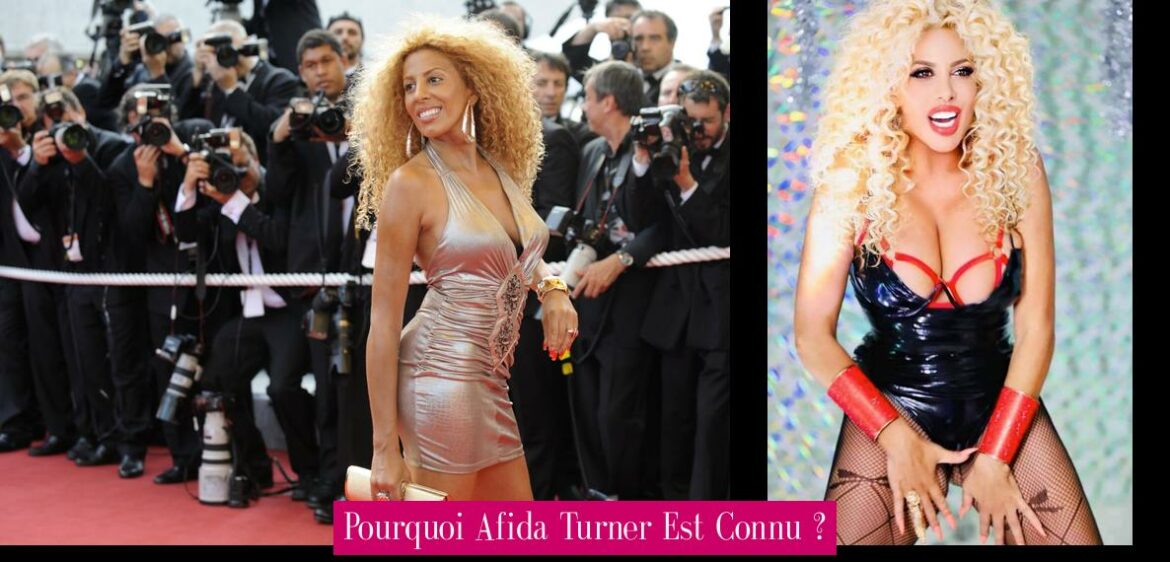 pourquoi-afida-turner-est-connu