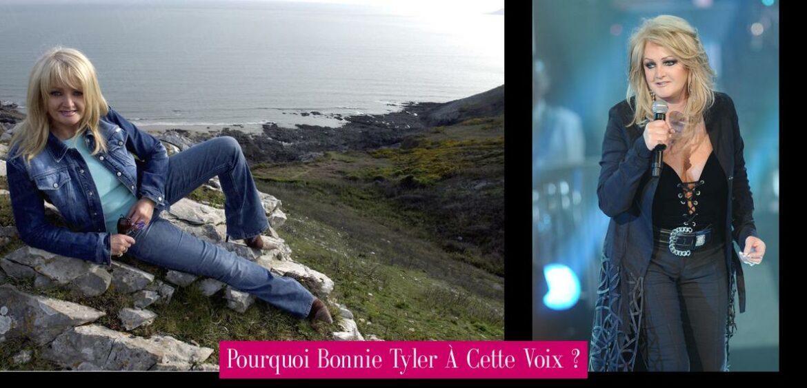 pourquoi-bonnie-tyler-a-cette-voix