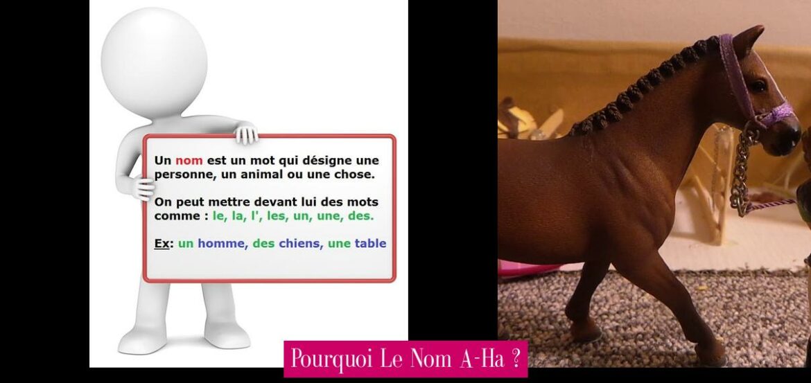 pourquoi-le-nom-a-ha