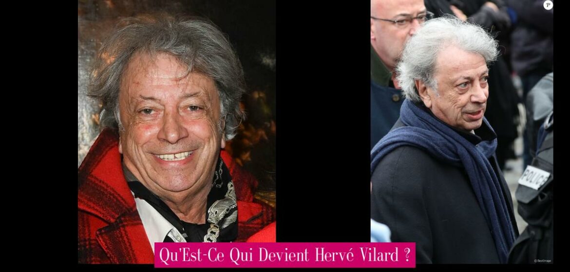 qu-est-ce-qui-devient-herve-vilard