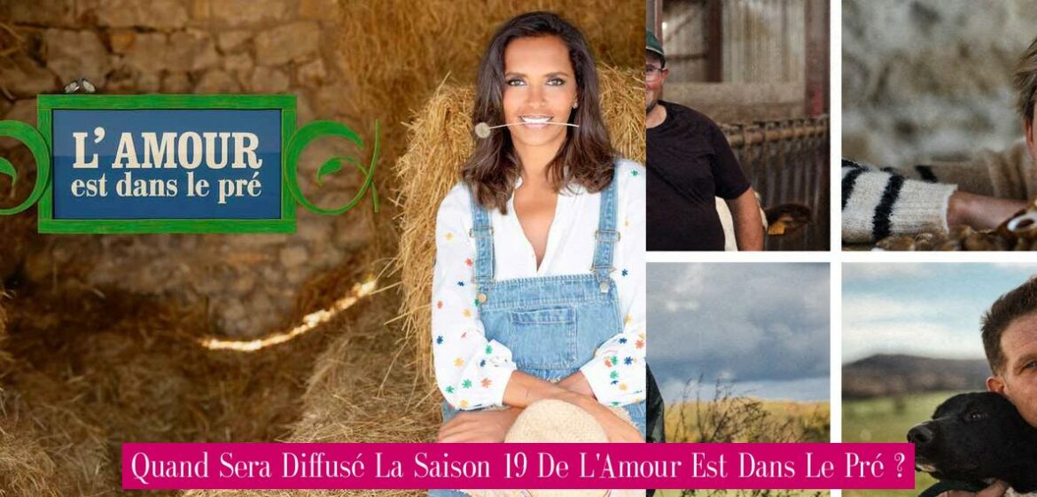 quand-sera-diffuse-la-saison-19-de-l-amour-est-dans-le-pre