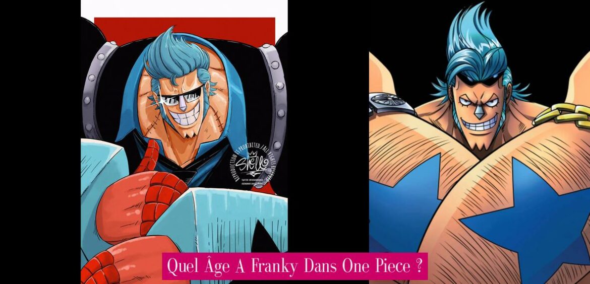 quel-age-a-franky-dans-one-piece
