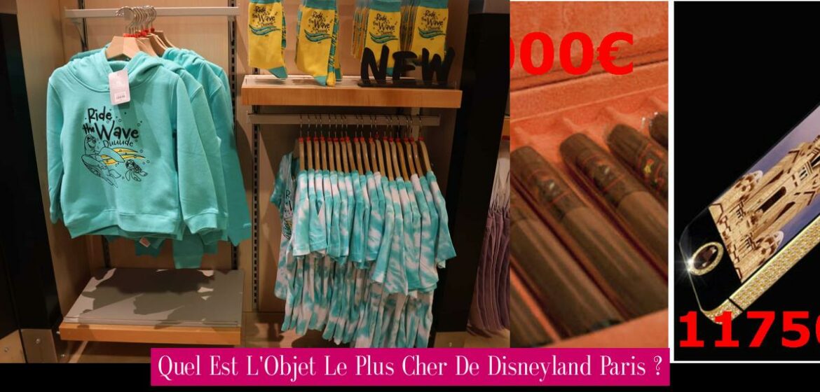 quel-est-l-objet-le-plus-cher-de-disneyland-paris