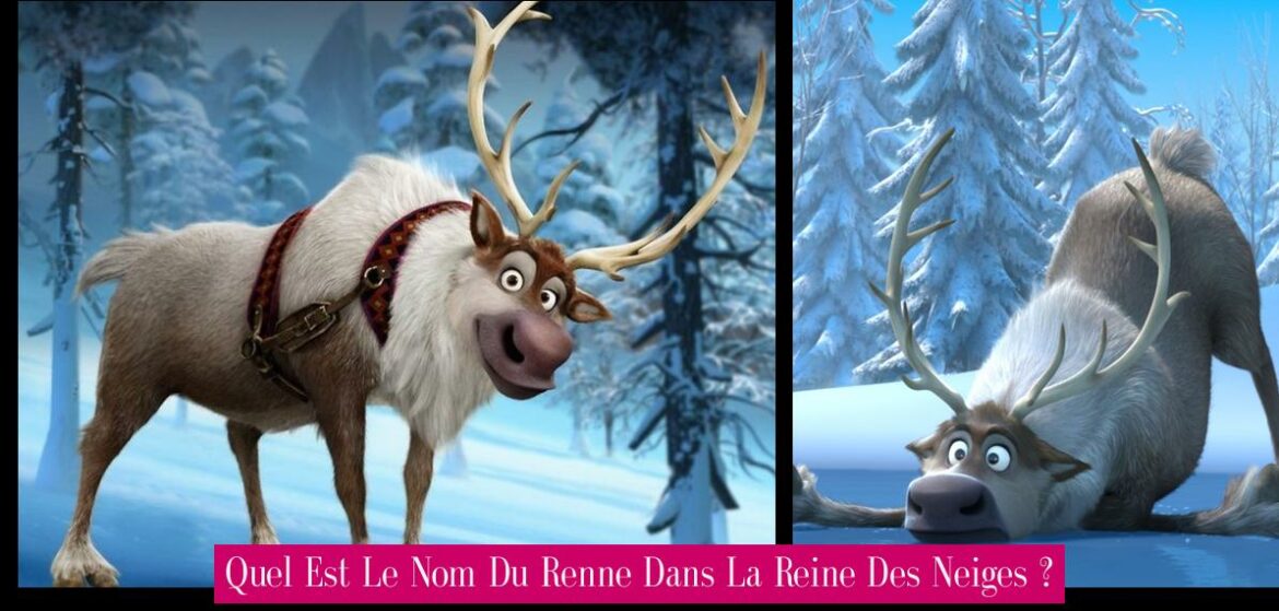 quel-est-le-nom-du-renne-dans-la-reine-des-neiges