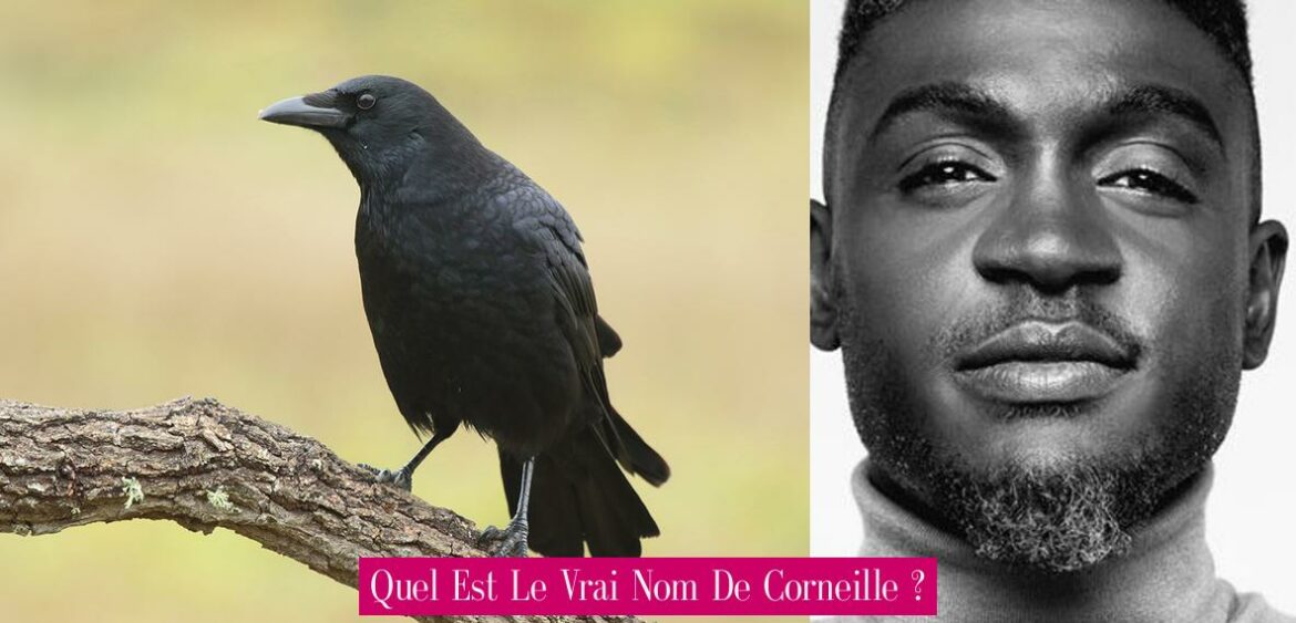 quel-est-le-vrai-nom-de-corneille