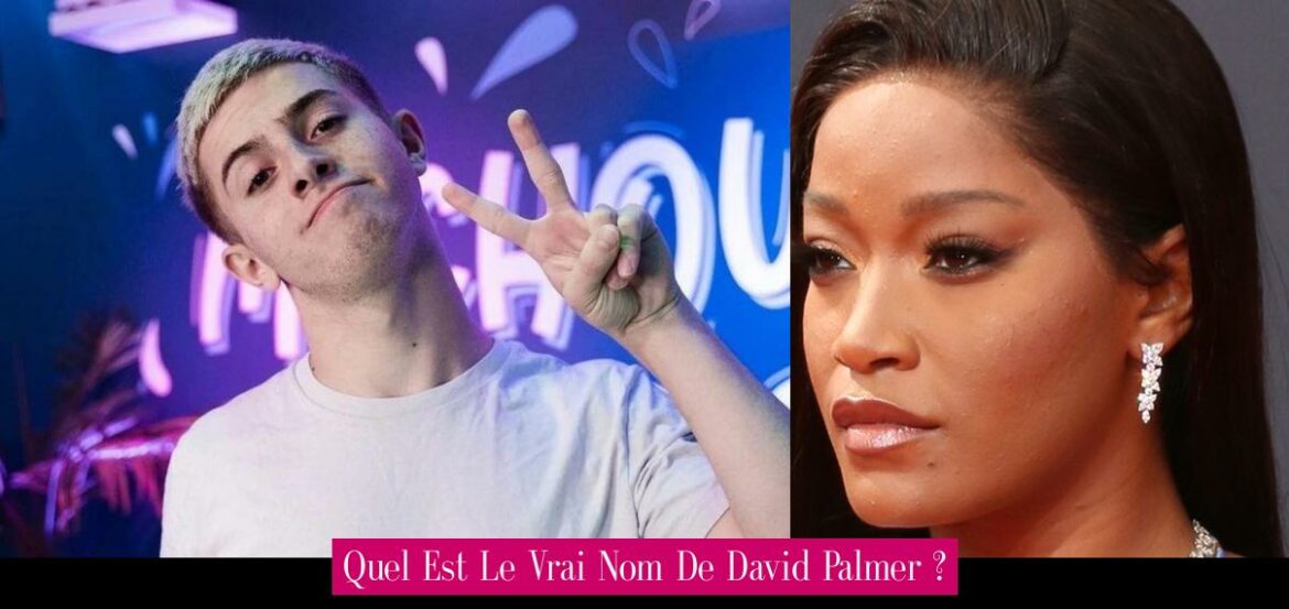 quel-est-le-vrai-nom-de-david-palmer