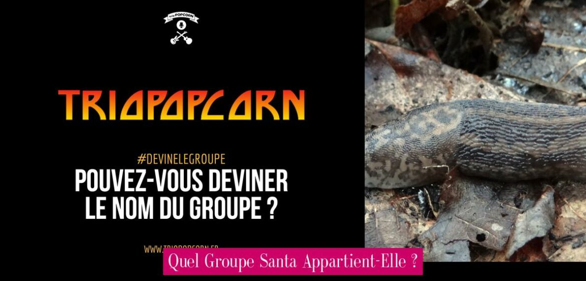 quel-groupe-santa-appartient-elle