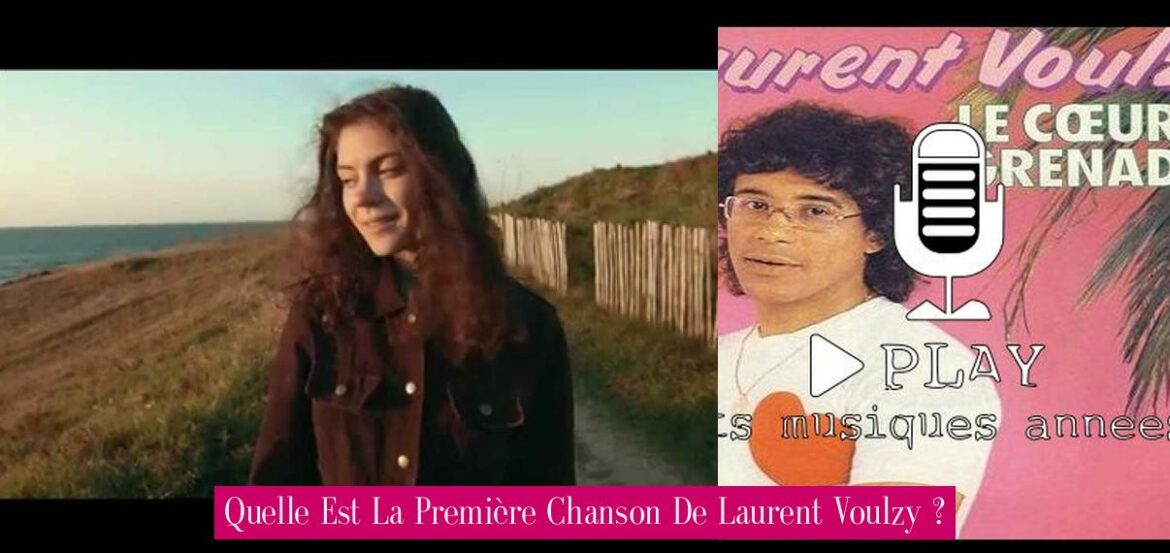 quelle-est-la-premiere-chanson-de-laurent-voulzy