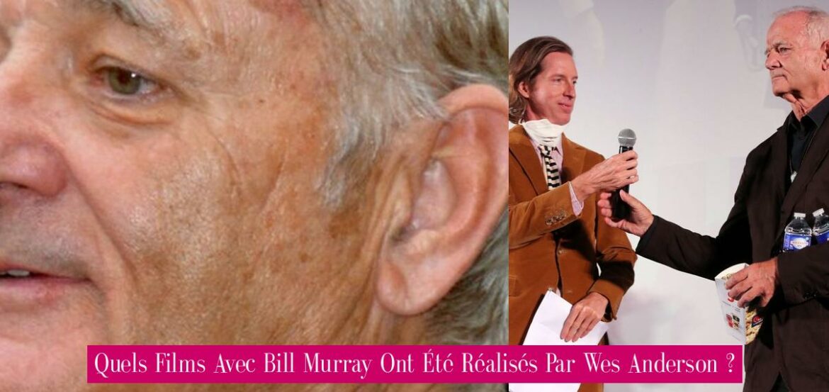 quels-films-avec-bill-murray-ont-ete-realises-par-wes-anderson