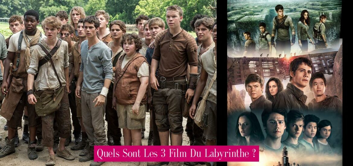 quels-sont-les-3-film-du-labyrinthe