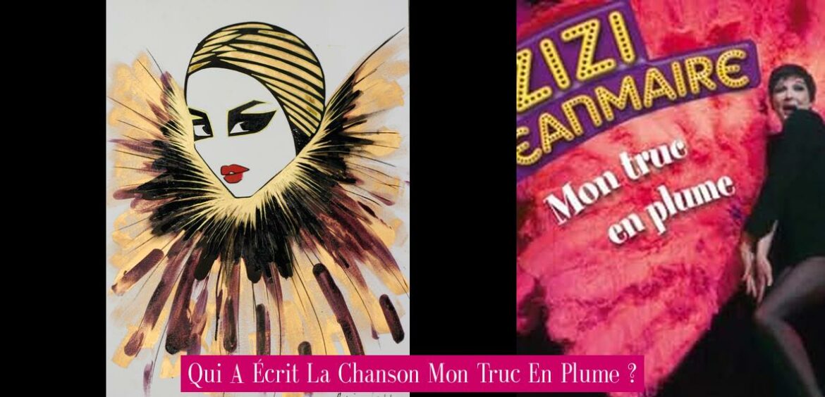qui-a-ecrit-la-chanson-mon-truc-en-plume