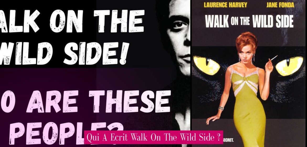 qui-a-ecrit-walk-on-the-wild-side