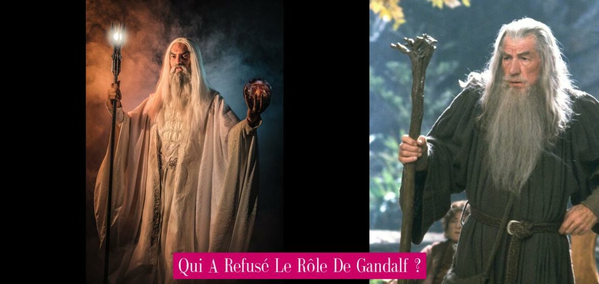 qui-a-refuse-le-role-de-gandalf