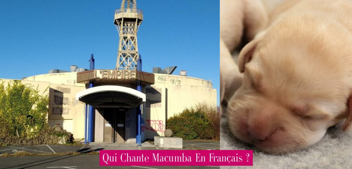 qui-chante-macumba-en-francais
