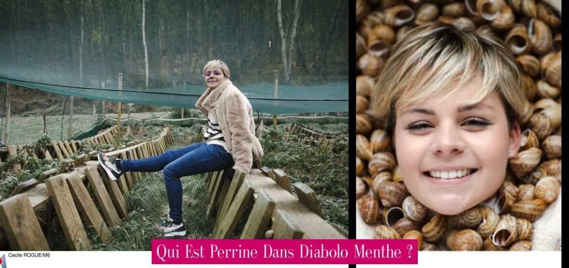 qui-est-perrine-dans-diabolo-menthe
