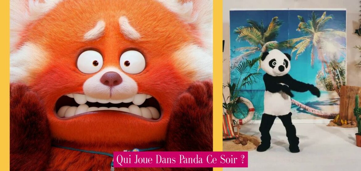 qui-joue-dans-panda-ce-soir