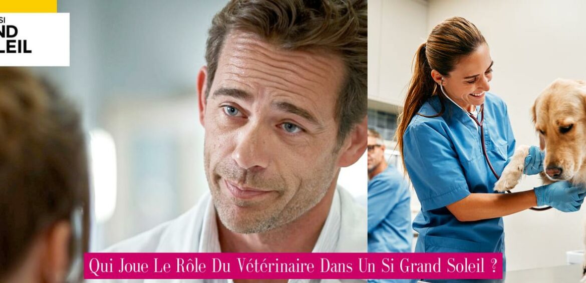 qui-joue-le-role-du-veterinaire-dans-un-si-grand-soleil