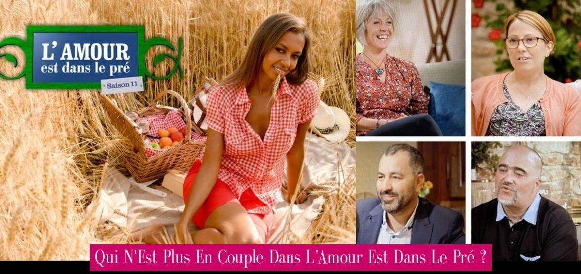 qui-n-est-plus-en-couple-dans-l-amour-est-dans-le-pre