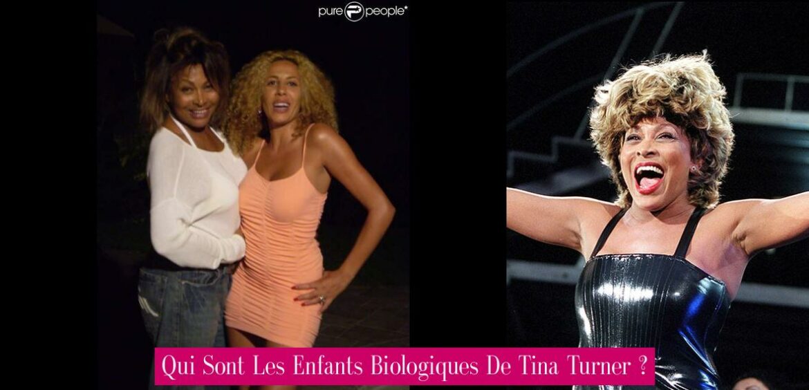 qui-sont-les-enfants-biologiques-de-tina-turner