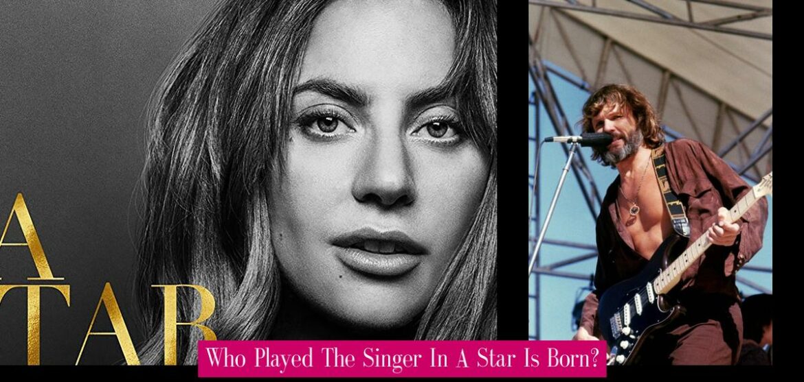 who-played-the-singer-in-a-star-is-born