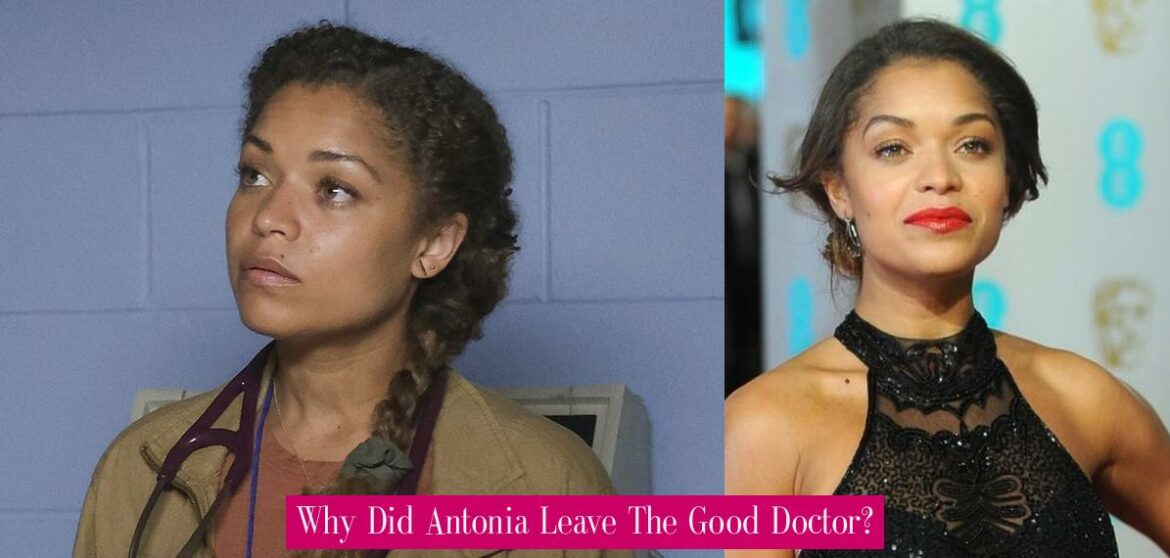 Why Did Antonia Leave The Good Doctor? - Revue Stars — Nouvelles - Why Did Antonia Thomas Leave The Good Doctor